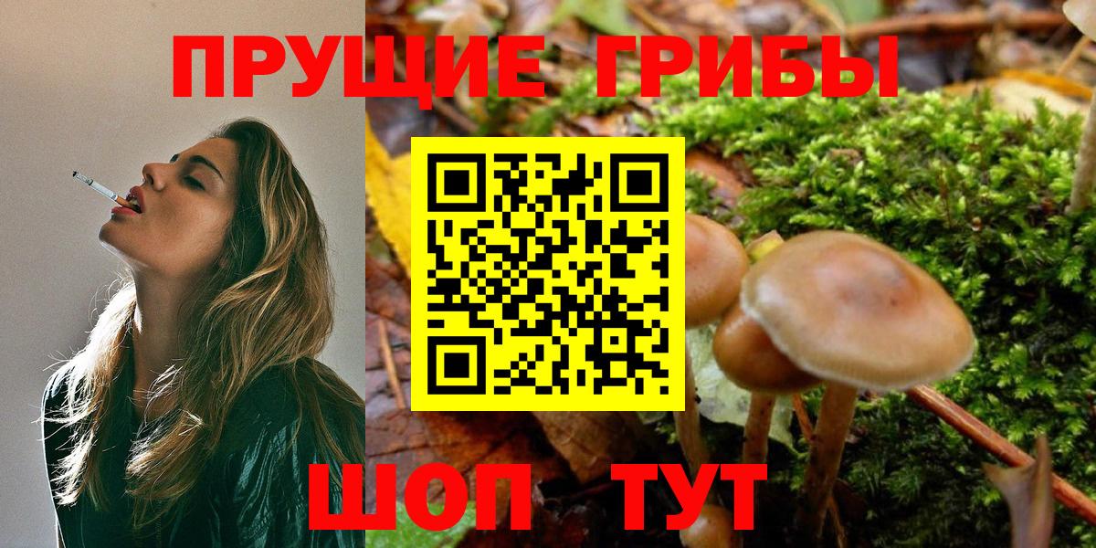 Псилоцибиновые грибы Psilocybe  Галлюциногенные грибы MAGIC MUSHROOMS  Можайск  Вход с VPN 
